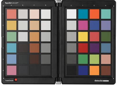 Datacolor Spydercheckr Carta de color alquiler