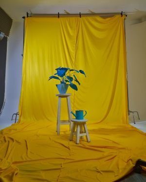 fondo de tela amarillo para fotográfia