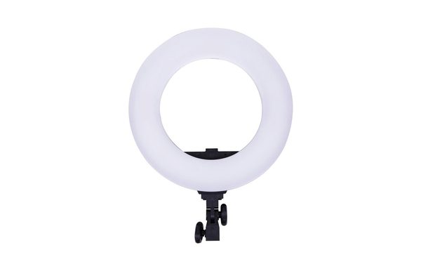 RING LIGHT LED DRACAST 140 HALO BI-COLOR alquiler